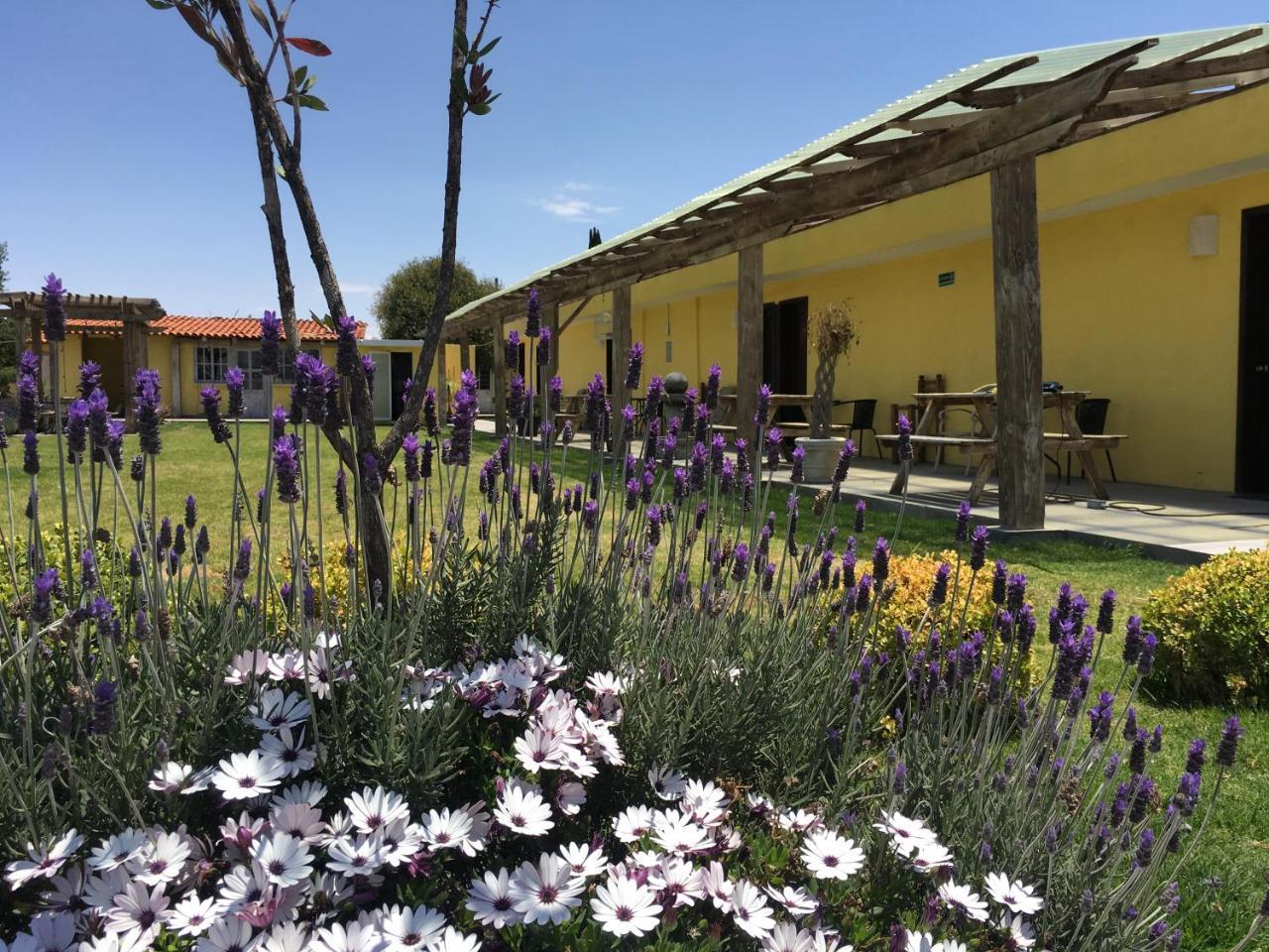 Hotel Quinta San Antonio Nopalucan de la Granja 외부 사진